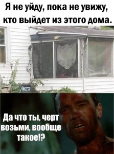 1672045211342.jpg (142.01 КБ) 569 просмотров 1672045211342.jpg