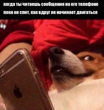 1512321491.jpg (44.91 КБ) 4287 просмотров Дааа!;)