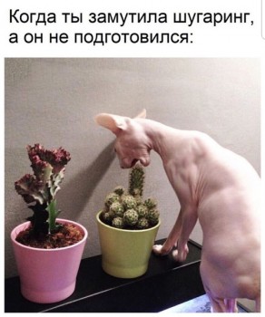 ZmxcC1Fkzwg.jpg