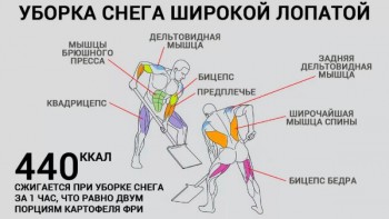 PF5-IUqZaqM.jpg